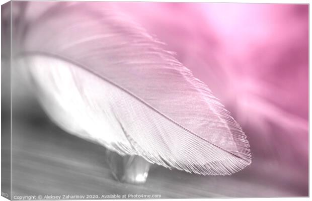 Dream Feather Canvas Print by Aleksey Zaharinov