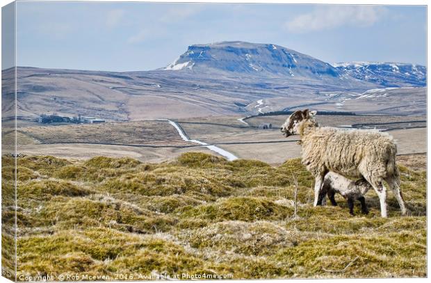 Pen Y Ghent at Lunchtime Canvas Print by Rob Mcewen