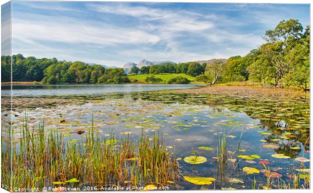 Loughrigg Tarn,Elterwater Canvas Print by Rob Mcewen