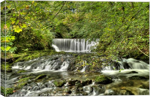 Stock Ghyll Force Canvas Print by Rob Mcewen