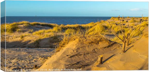 Formby sand dunes,Formby UK Canvas Print by Rob Mcewen