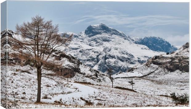 The Langdale Pikes Canvas Print by Rob Mcewen