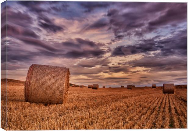 Hay Bales Canvas Print by Angela H