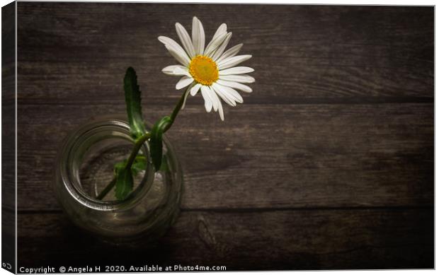 One Oxeye Daisy Canvas Print by Angela H