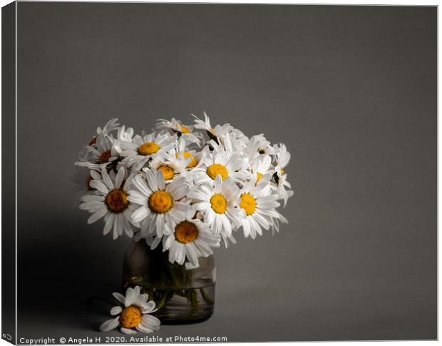 Oxeye Daisies Canvas Print by Angela H