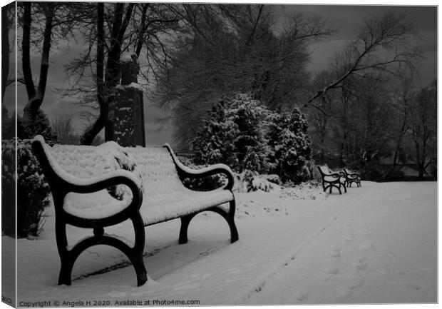 Snowy benches  Canvas Print by Angela H