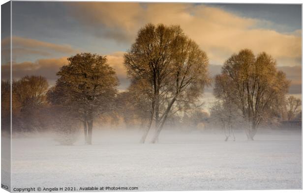 Beltane Park in the mist Canvas Print by Angela H