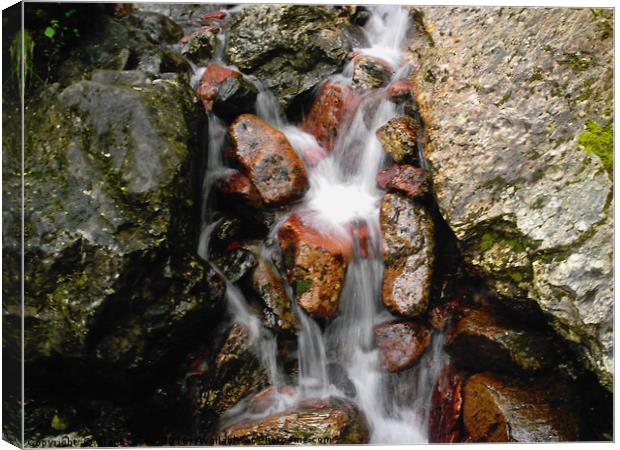 Water Feature Canvas Print by Grant Lewis