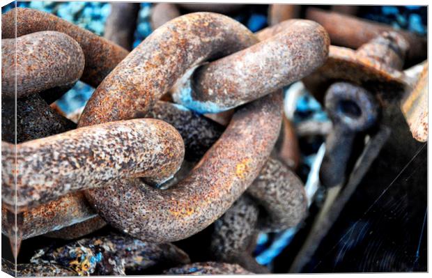 Rusty Link Canvas Print by Grant Lewis