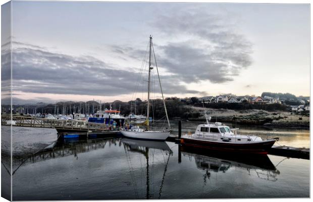 A Winters Morning on The Cleddau  Canvas Print by Grant Lewis