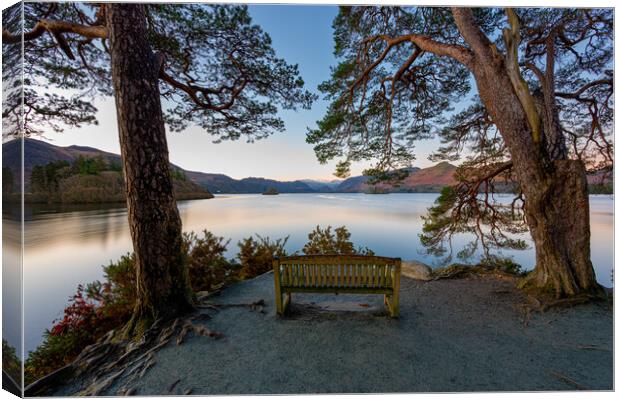 Friar's Crag Derwent Water keswick Canvas Print by Michael Brookes