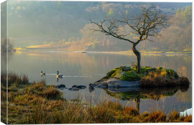 Ethereal Rydal Water Canvas Print by Michael Brookes