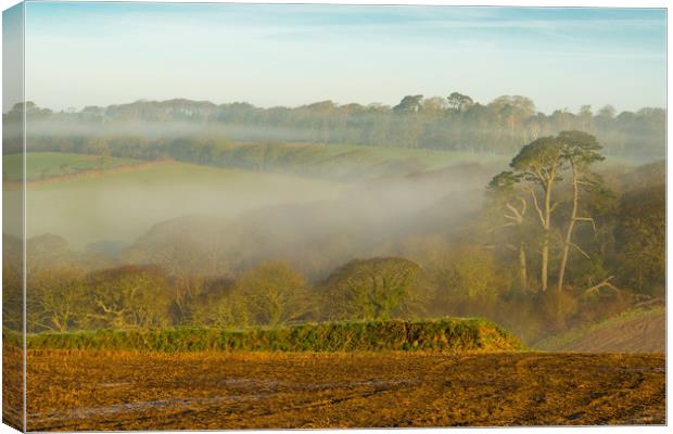 Misty Dawn Canvas Print by Michael Brookes