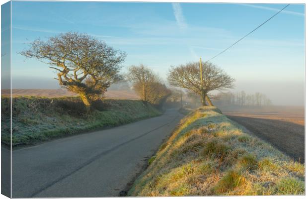 Winding Road In Mist Canvas Print by Michael Brookes