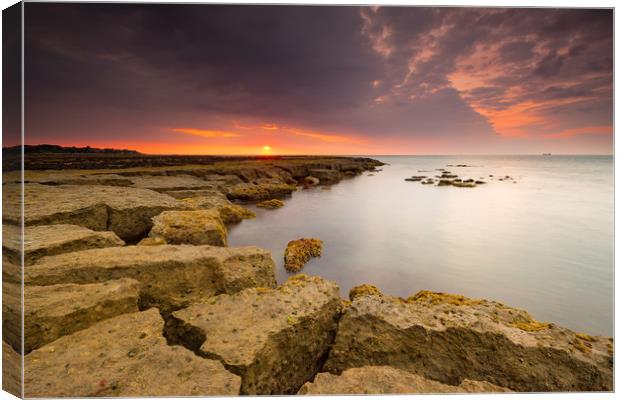 Whitecliffe Bay Sunrise Canvas Print by Michael Brookes
