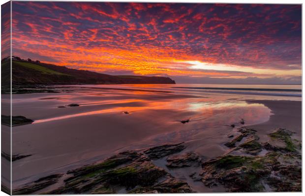 Fire in the sky Canvas Print by Michael Brookes
