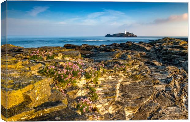 Godrevy rock garden Canvas Print by Michael Brookes