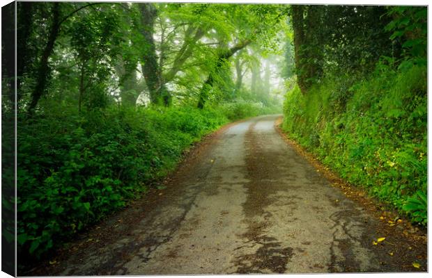 Misty road Canvas Print by Michael Brookes