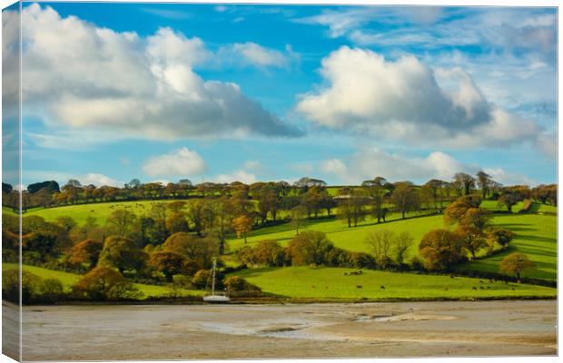 A Cornish pastoral Canvas Print by Michael Brookes