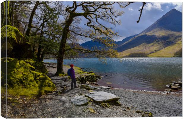 Across the lake. Canvas Print by Michael Brookes