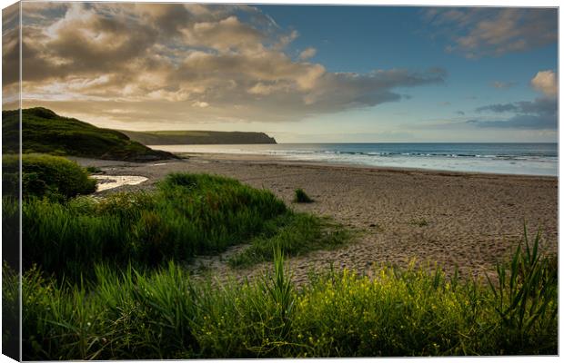 Nare Head and Pendower Beach Canvas Print by Michael Brookes
