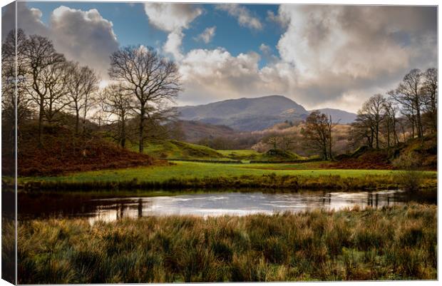 Langdales from near Elterwater Cumbria Canvas Print by Michael Brookes