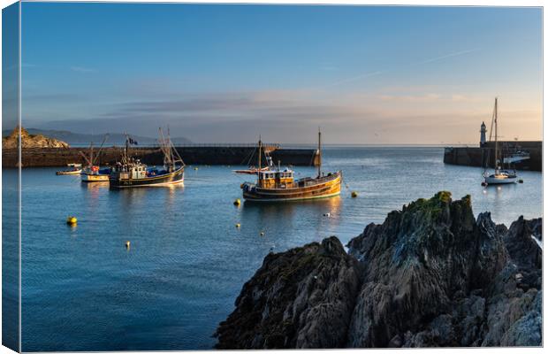 Boats in Mevagissey harbour Canvas Print by Michael Brookes