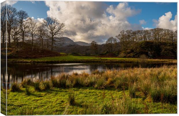 Langdales from near Elterwater Cumbria III Canvas Print by Michael Brookes
