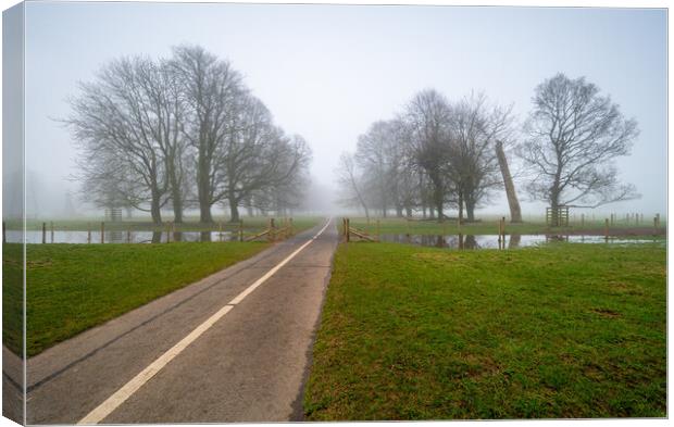 Into the fog Canvas Print by Michael Brookes