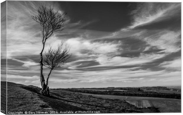Black and White on Deacon Hill Canvas Print by Gary Norman