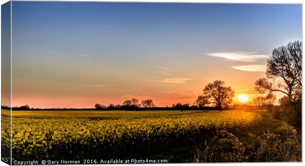 Spring Sunset Over the Rapeseed Field Canvas Print by Gary Norman