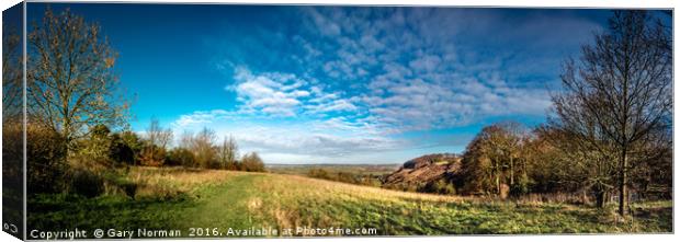 Sharpenhoe Clappers Panorama Canvas Print by Gary Norman