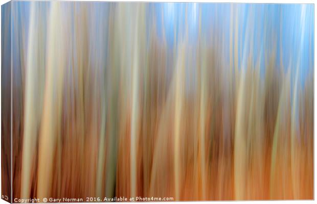 Blurred Trees Canvas Print by Gary Norman