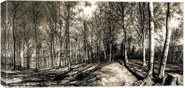 Woodland Clearing Canvas Print by Gary Norman