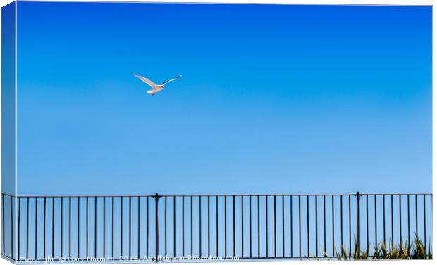 Seagull and fence at Great Yarmouth  Canvas Print by Gary Norman