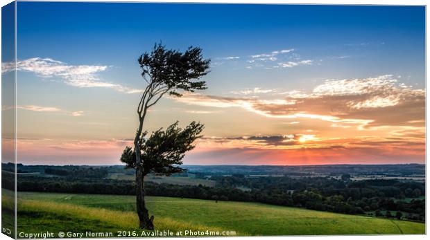 Lone tree at sunset on Deacon Hill, Hertfordshire Canvas Print by Gary Norman