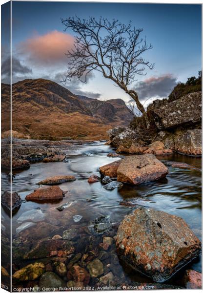 A lone tree over the River Coe Canvas Print by George Robertson