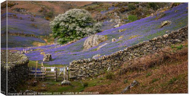 Gate into the  Rannerdale Bluebell fields Canvas Print by George Robertson