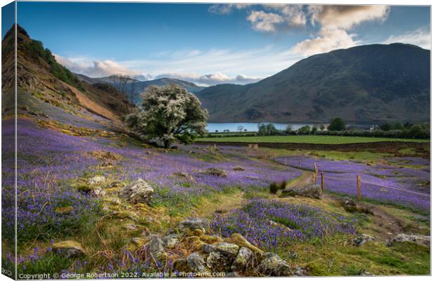 Crummock Water and Bluebells Canvas Print by George Robertson