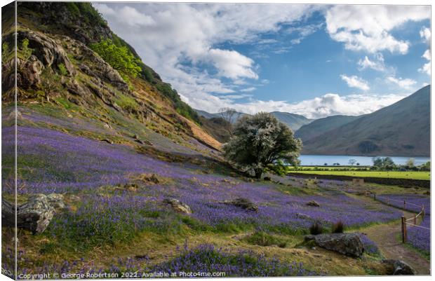 Looking down to Crummock Water Canvas Print by George Robertson
