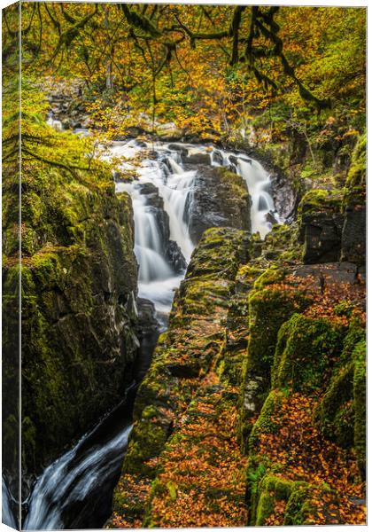 Waterfalls on the River Braan in Autumn Canvas Print by George Robertson