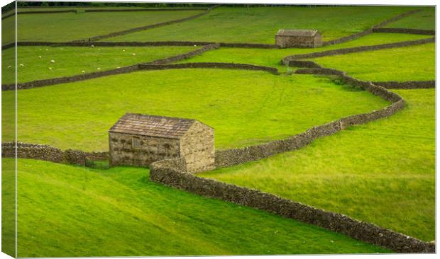 Swaledale Barns and stone walls Canvas Print by George Robertson