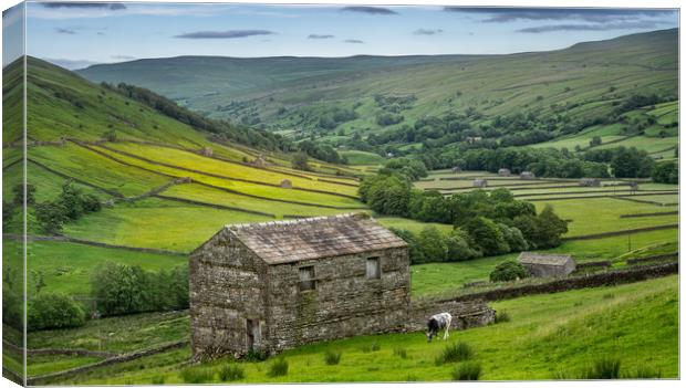 The old barns in Swaledale Canvas Print by George Robertson