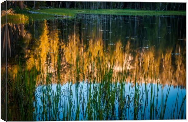 Reflection in a Pond Canvas Print by George Robertson