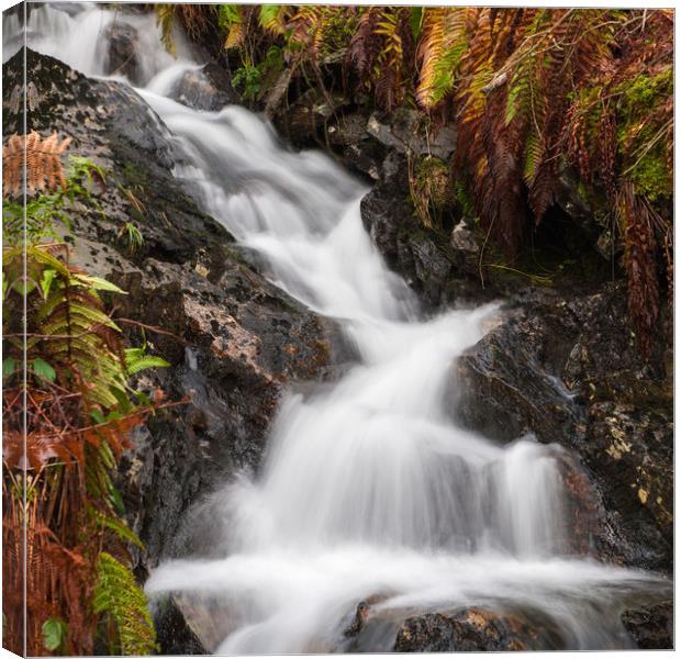 Flowing Stream in Autumn Canvas Print by George Robertson