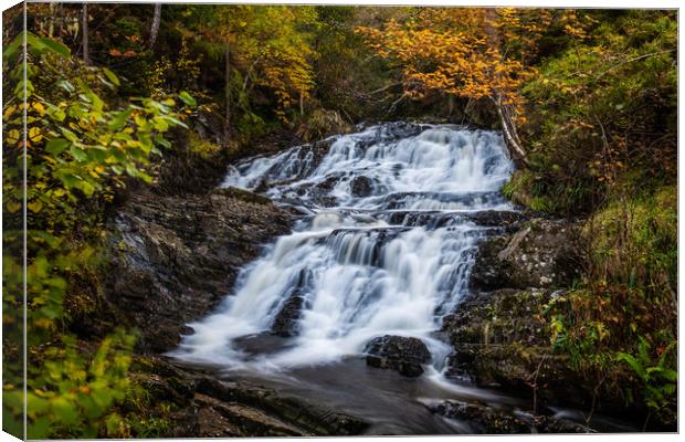 The river above Plodda Falls Canvas Print by George Robertson