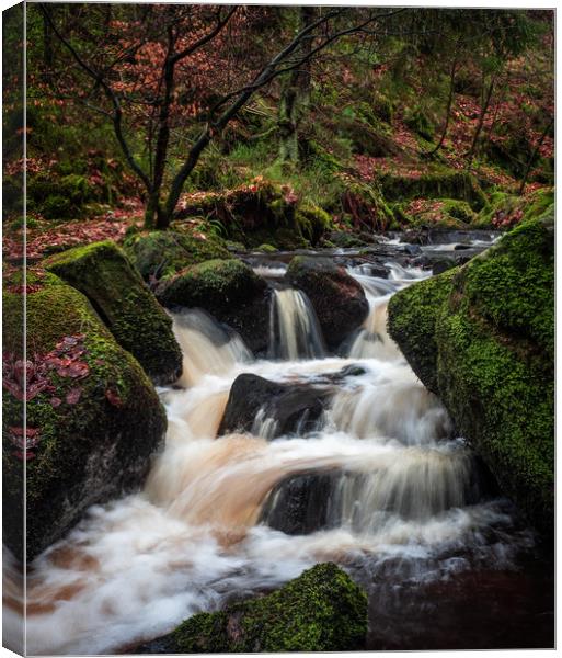 Tumbling Yorkshire brook Canvas Print by George Robertson