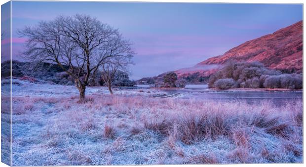 Frosty morning at Loch Awe Canvas Print by George Robertson