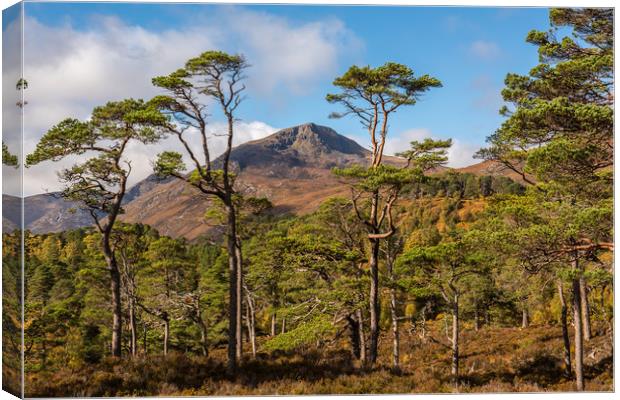 Sgurr na Lapaich in Glen Affric Canvas Print by George Robertson