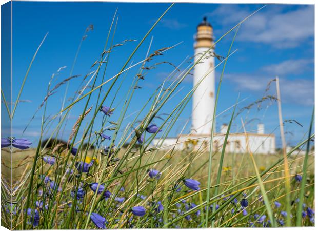 Looking through the wild flowers to Barns Ness Lig Canvas Print by George Robertson